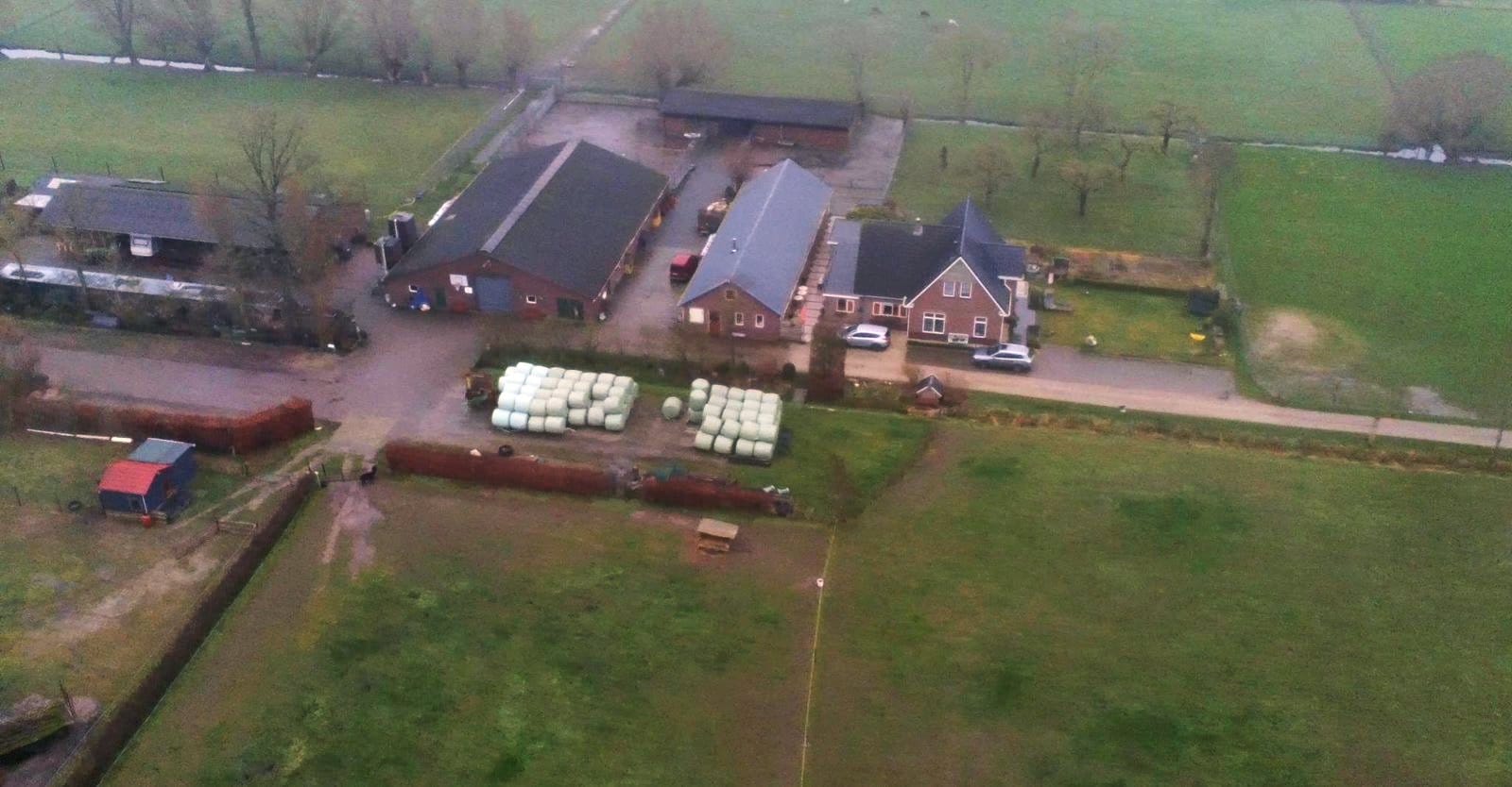 Leven in een hertenboerderij