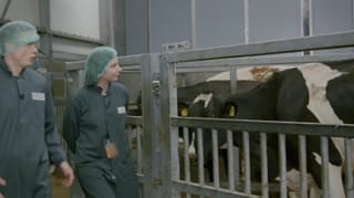 NVWA Toezicht