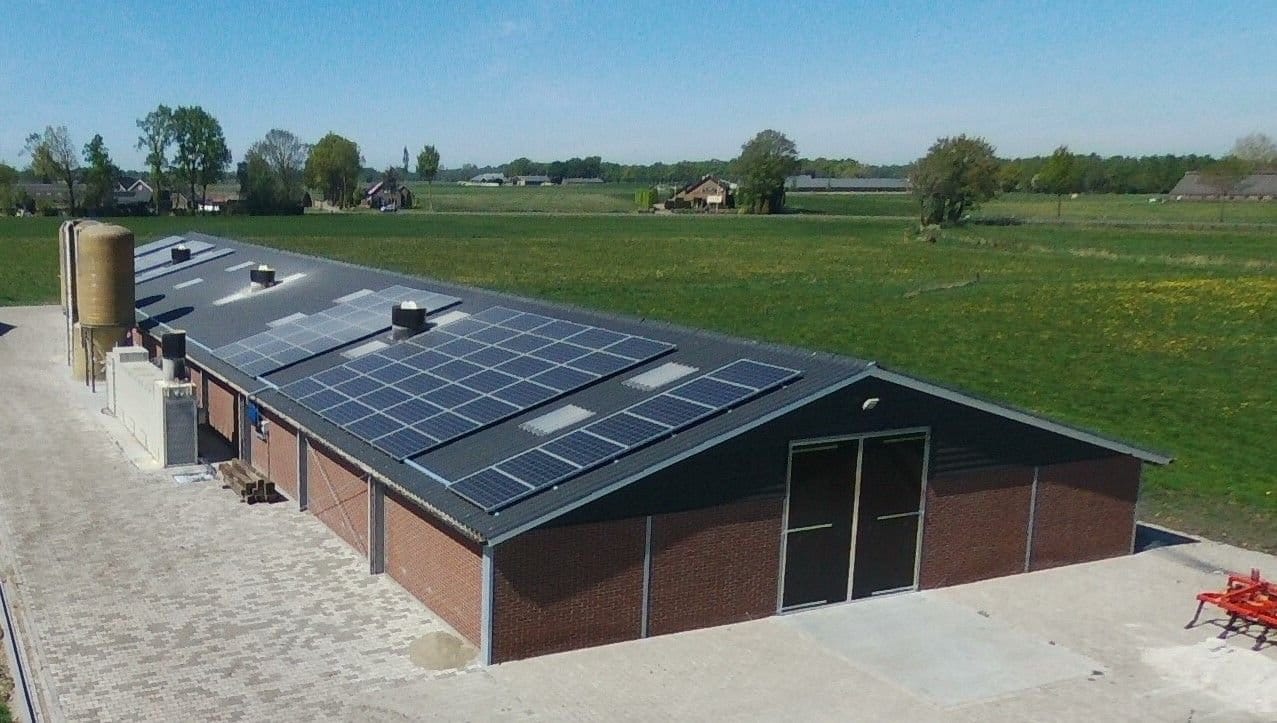 Het kippenonderzoek