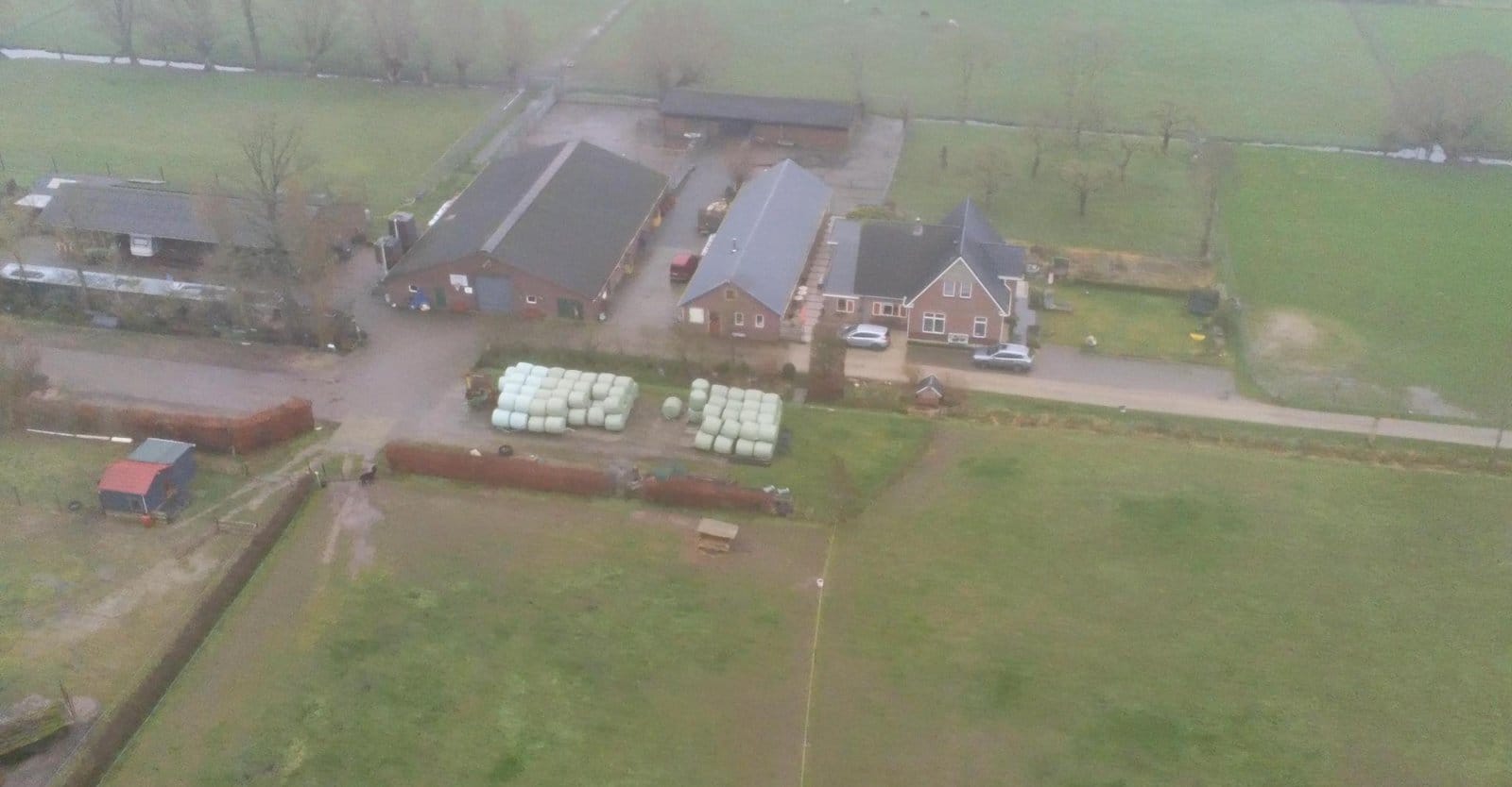 Leven in een hertenboerderij