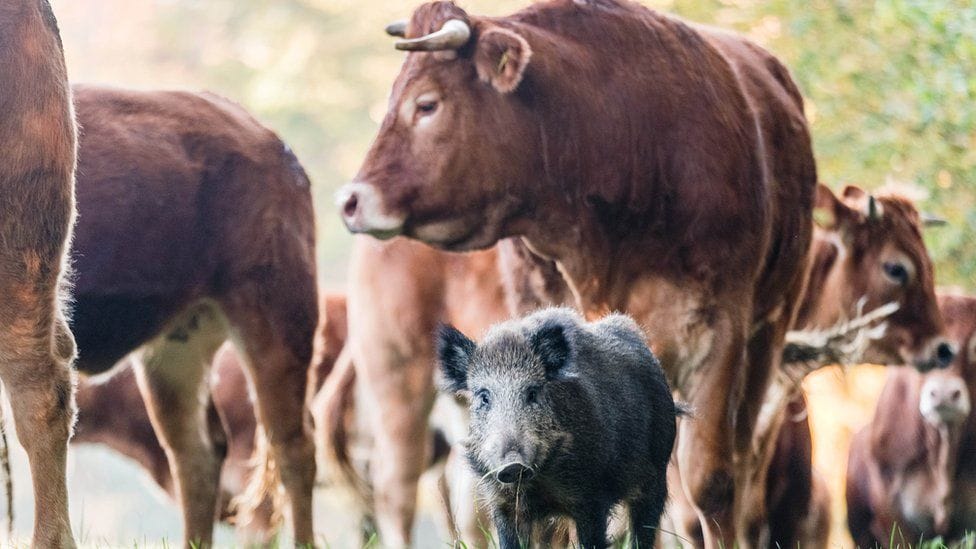 Bevindingen uit het onderzoek