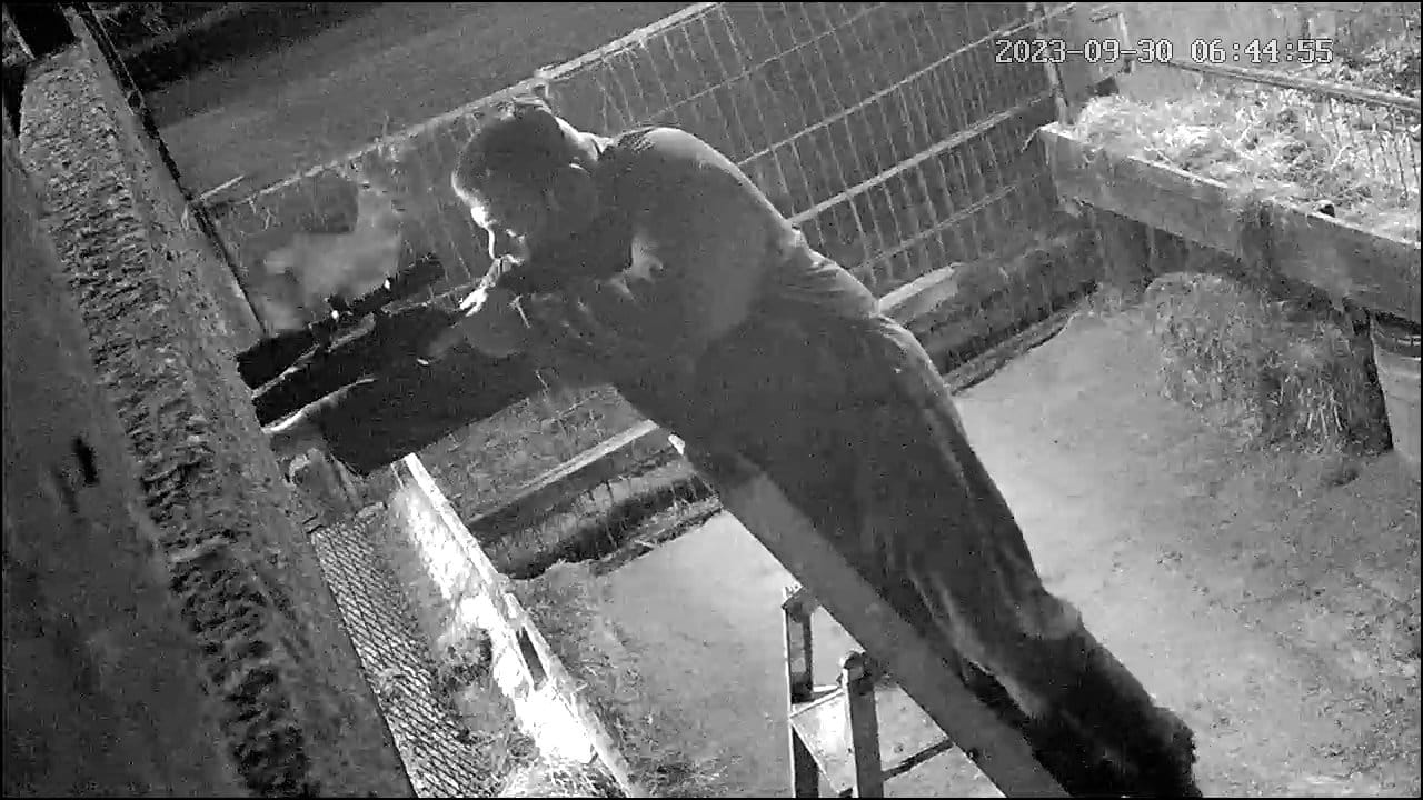 Herten krijgen de kogel bij boerderij De Weerd, Nijbroek