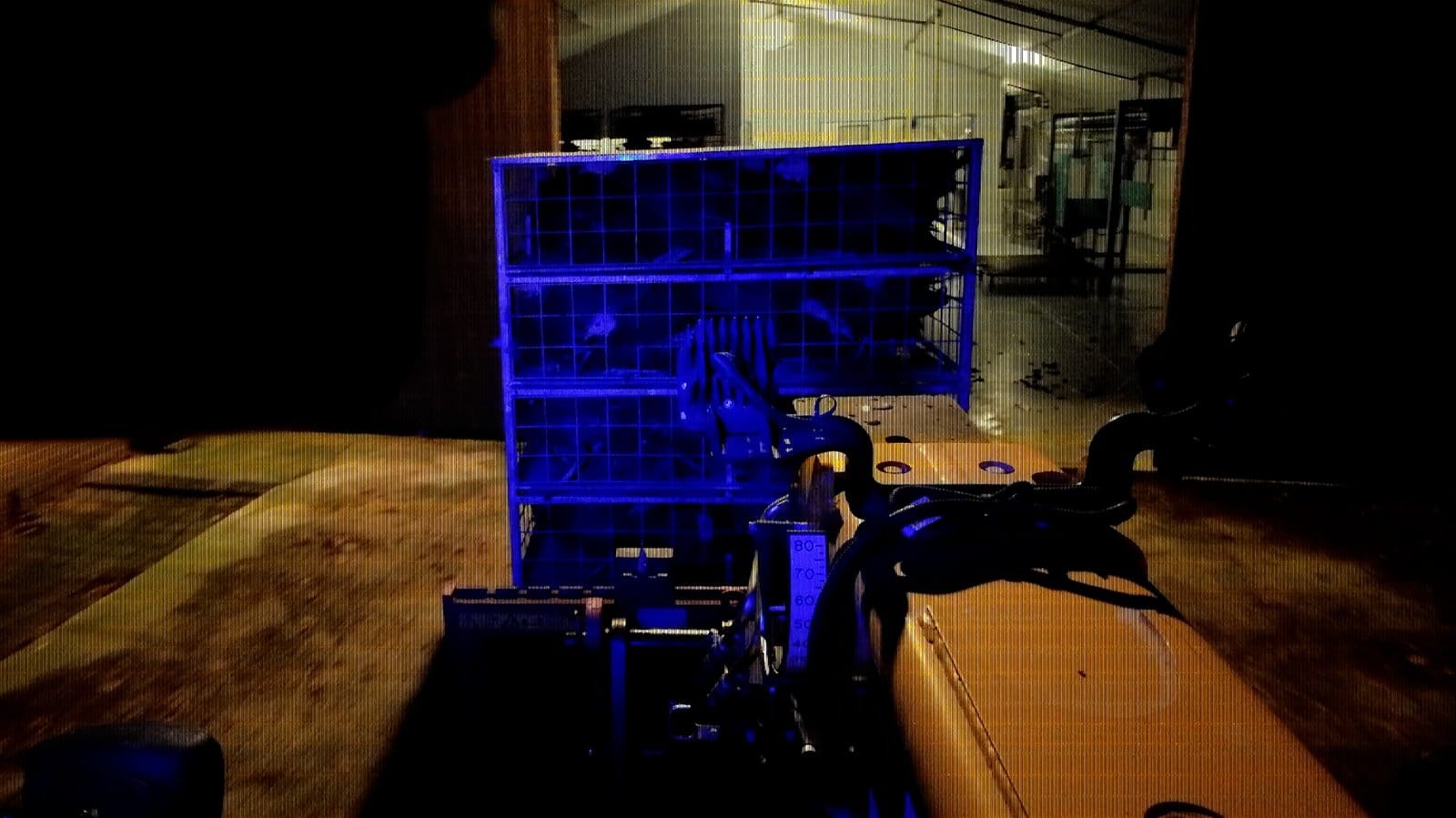 Images of capture and slaughter