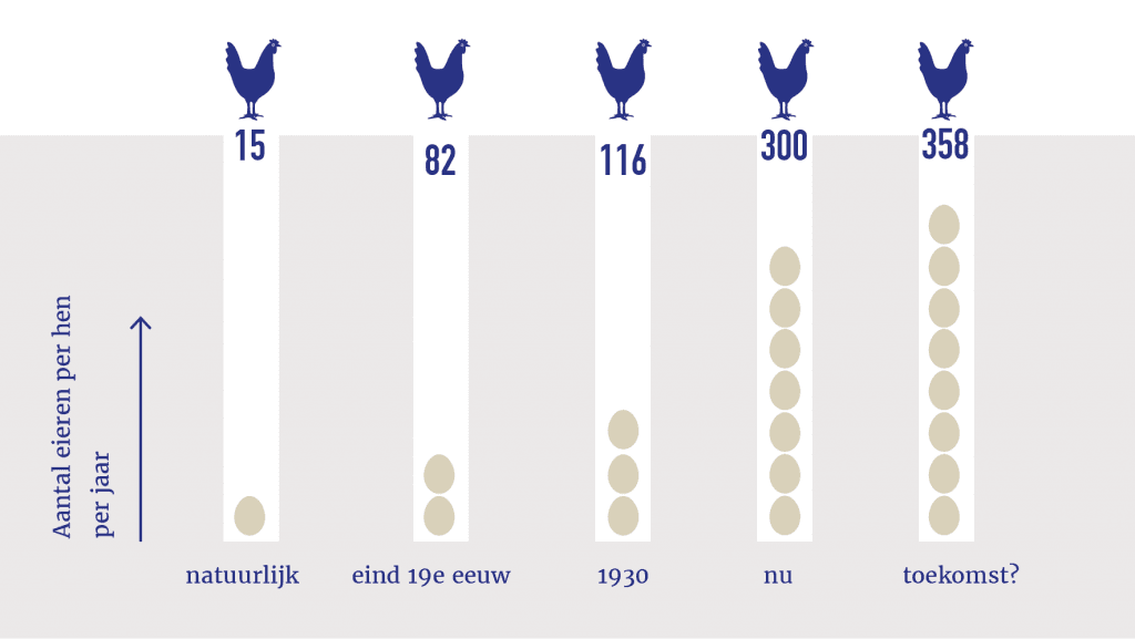 Grafiek van het aantal eieren per hen per jaar door de tijd