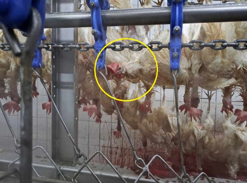 15f7a5fb-59cb-4d89-8570-88e8ab39c904