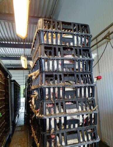 494327cb-3024-45b4-9e03-e0eafdc18b4b