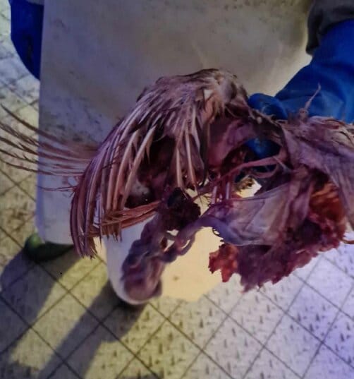 74444968-81ad-408a-806b-38601c4df700