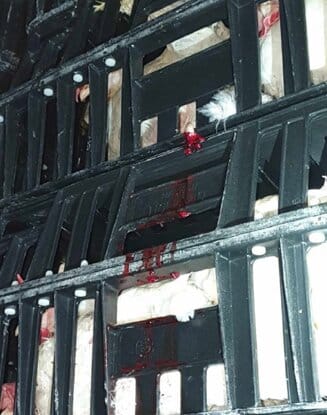 e52244b7-4edf-4ea9-a404-398252f7a57d