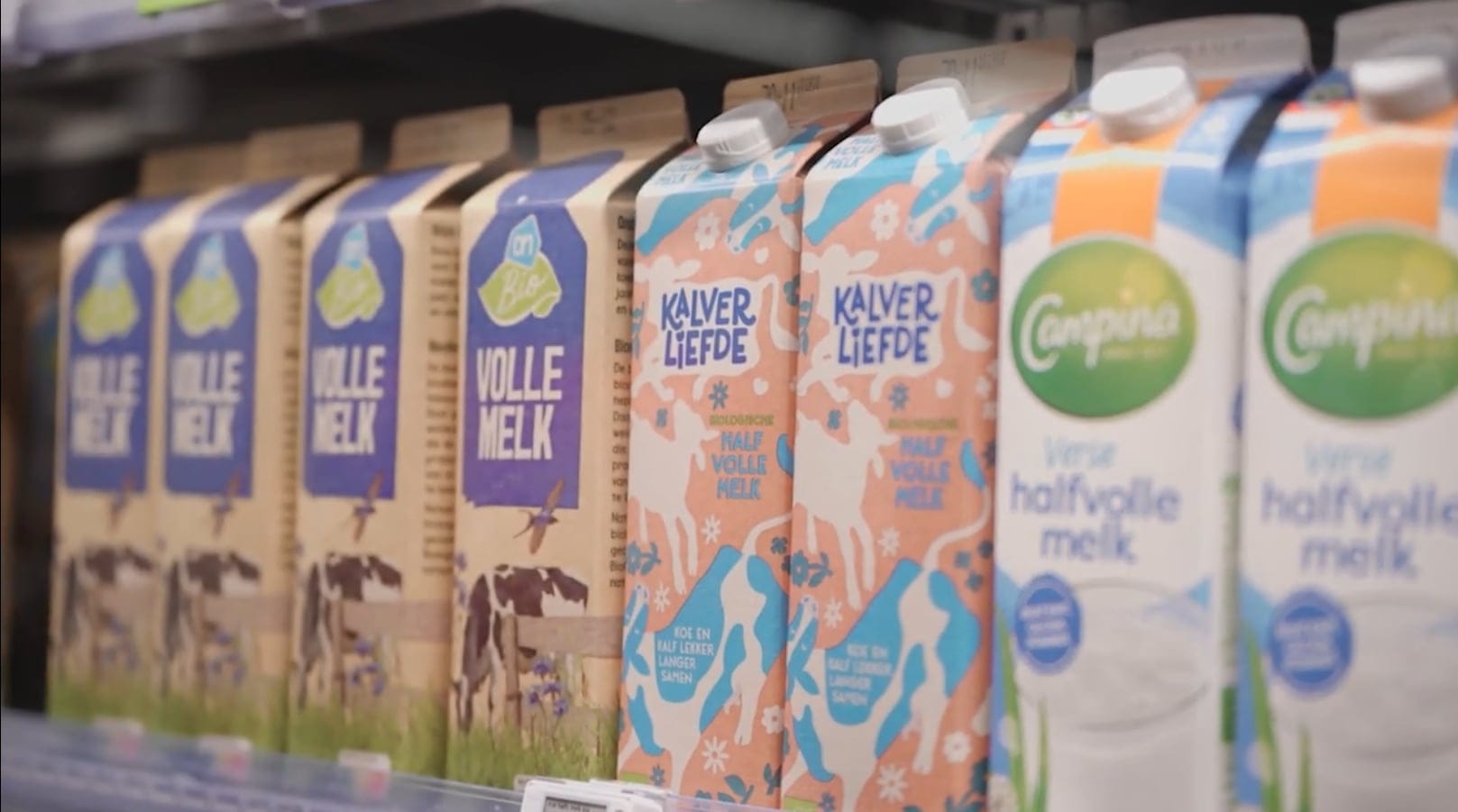 Fundamentele oorzaken van transportleed.