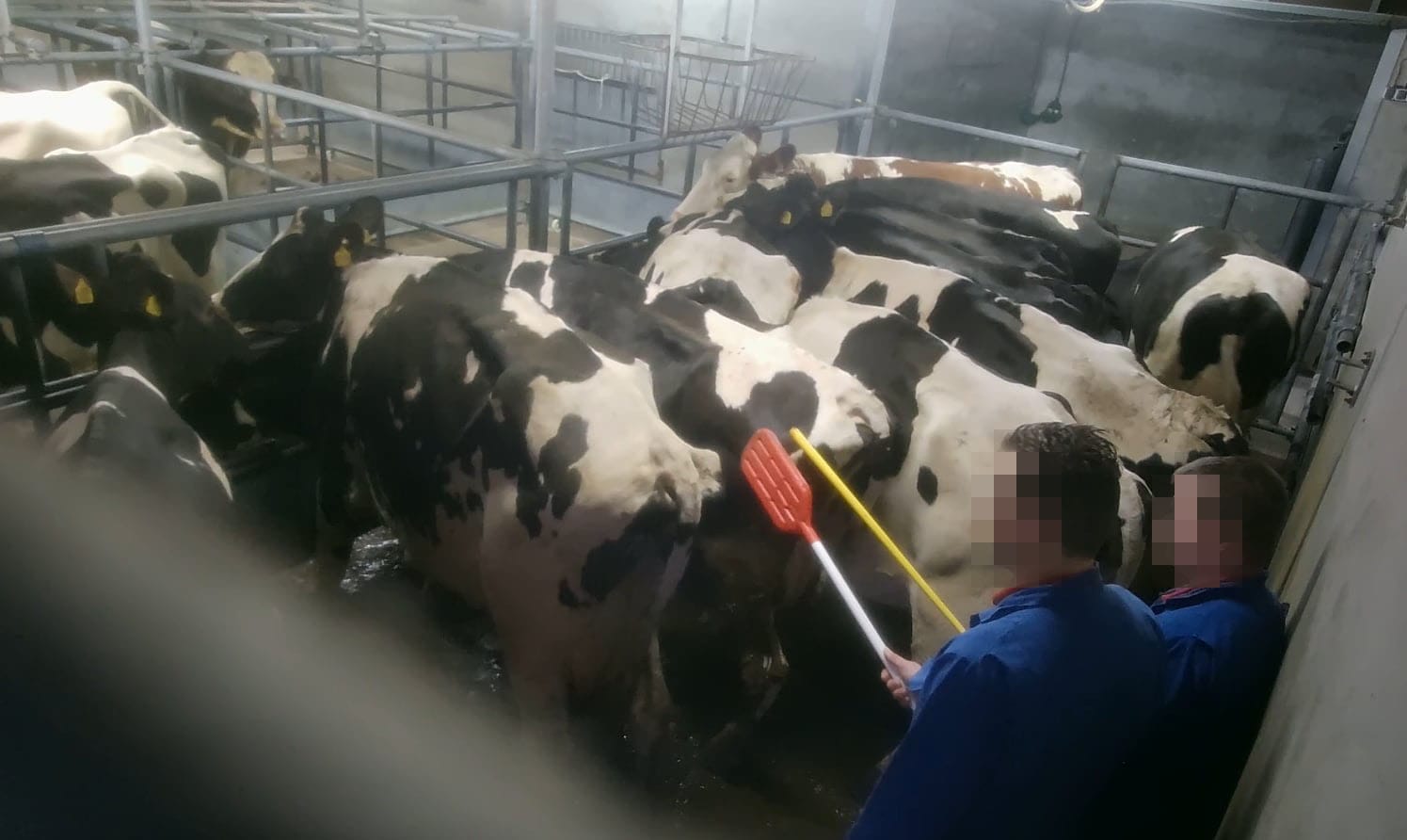 Nieuwe welzijnsmaatregelen op komst.